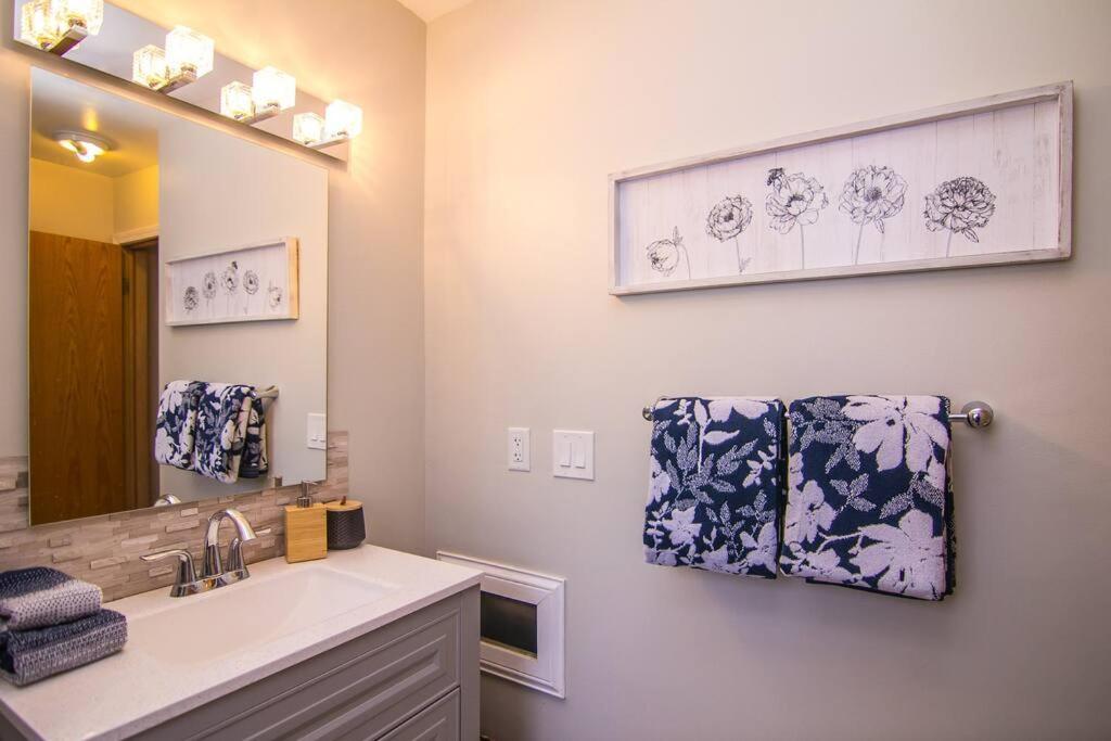 Lake House- Four Bedroom Retreat, King Bed, Beautiful Sunset! Brooklyn Center Εξωτερικό φωτογραφία